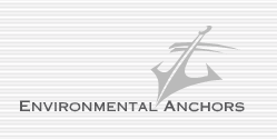 Environmental Anchors